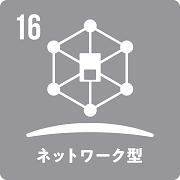 16　ネットワーク型